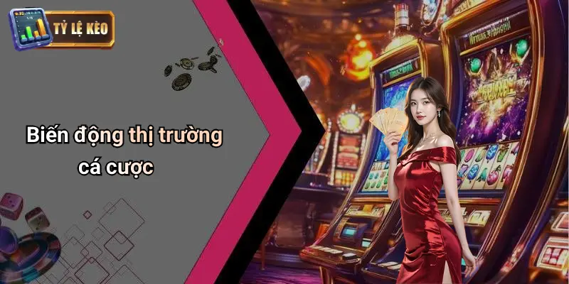 Biến động thị trường cá cược